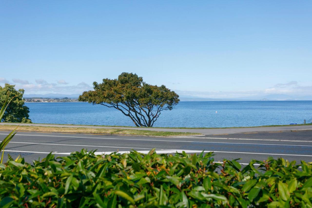 Acacia Lake View Motel Taupo Ngoại thất bức ảnh